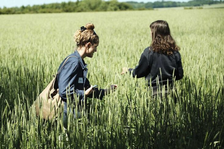 happening now and noted by both julie and alexa: the european grain festival in 28