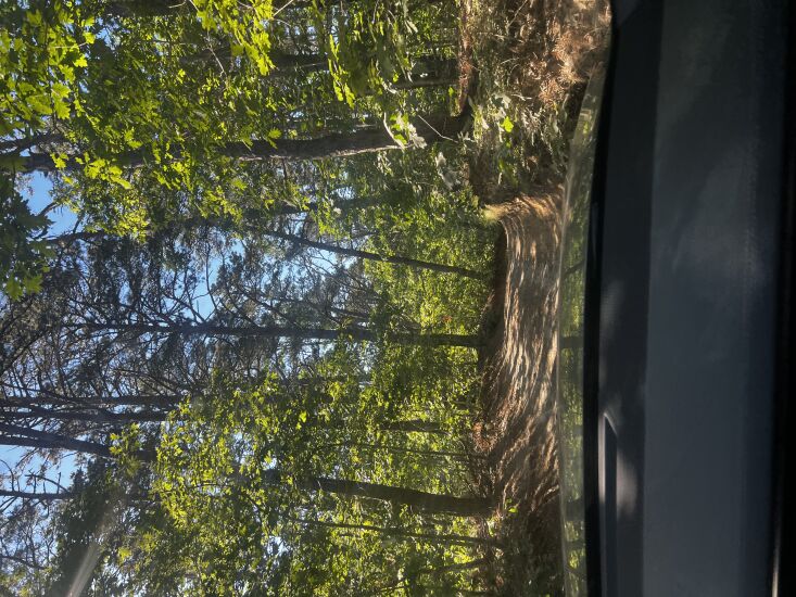 the road to breuer’s house, deep in the woods of wellfleet on the outer cape. 28