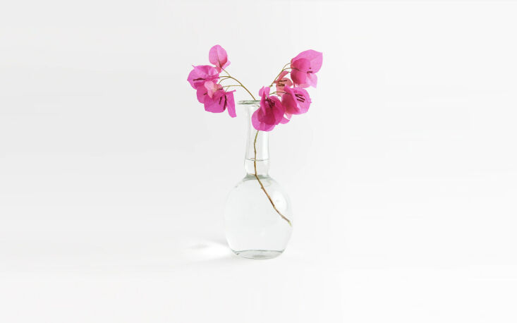 for a clutch of flowers on the bedside table—ideally queen anne\2\17;s 22