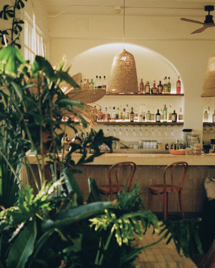 the airy, tropical inspired interior of fig tree. \2\20;almost everythin 19