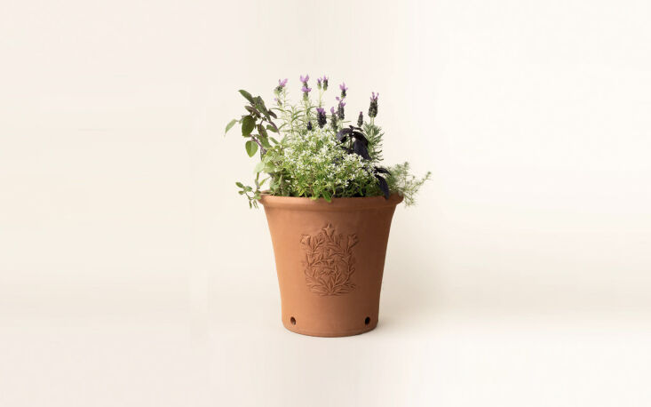 for keeping summer going on the windowsill: pretty limited edition terracotta p 24
