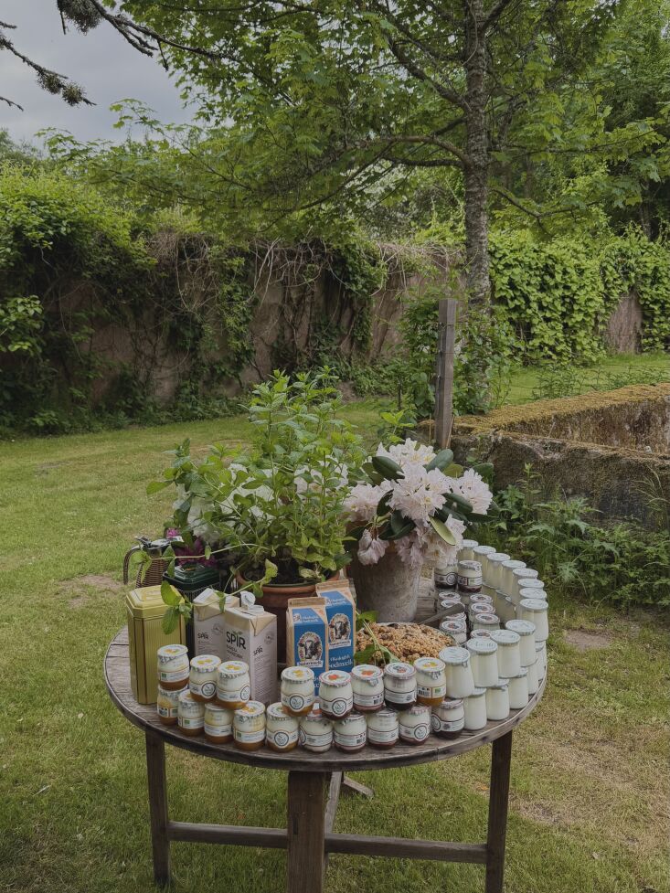 breakfast is served with tinned tea, granola, milk, and a surround of yogurt. 22