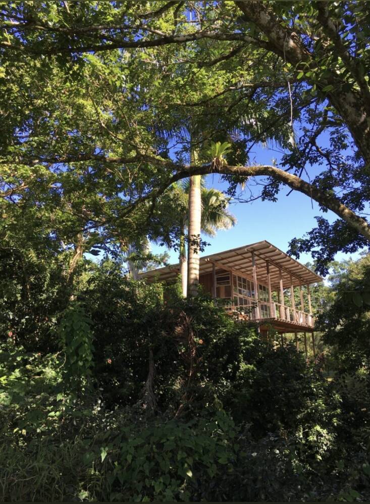 jesse kamm's panama cabin in surf shacks 23